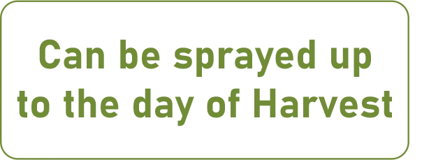 Can be sprayed up to the day of harvest